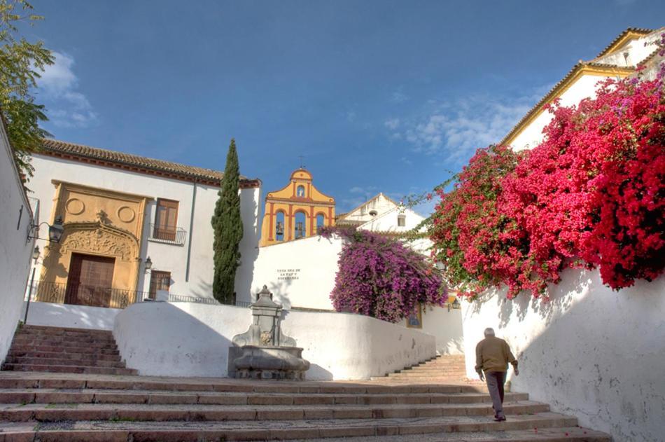 Villa Aljaral, Espectacular,Piscina,Chimenea, Climatizacion, Wifi Cordoue Extérieur photo